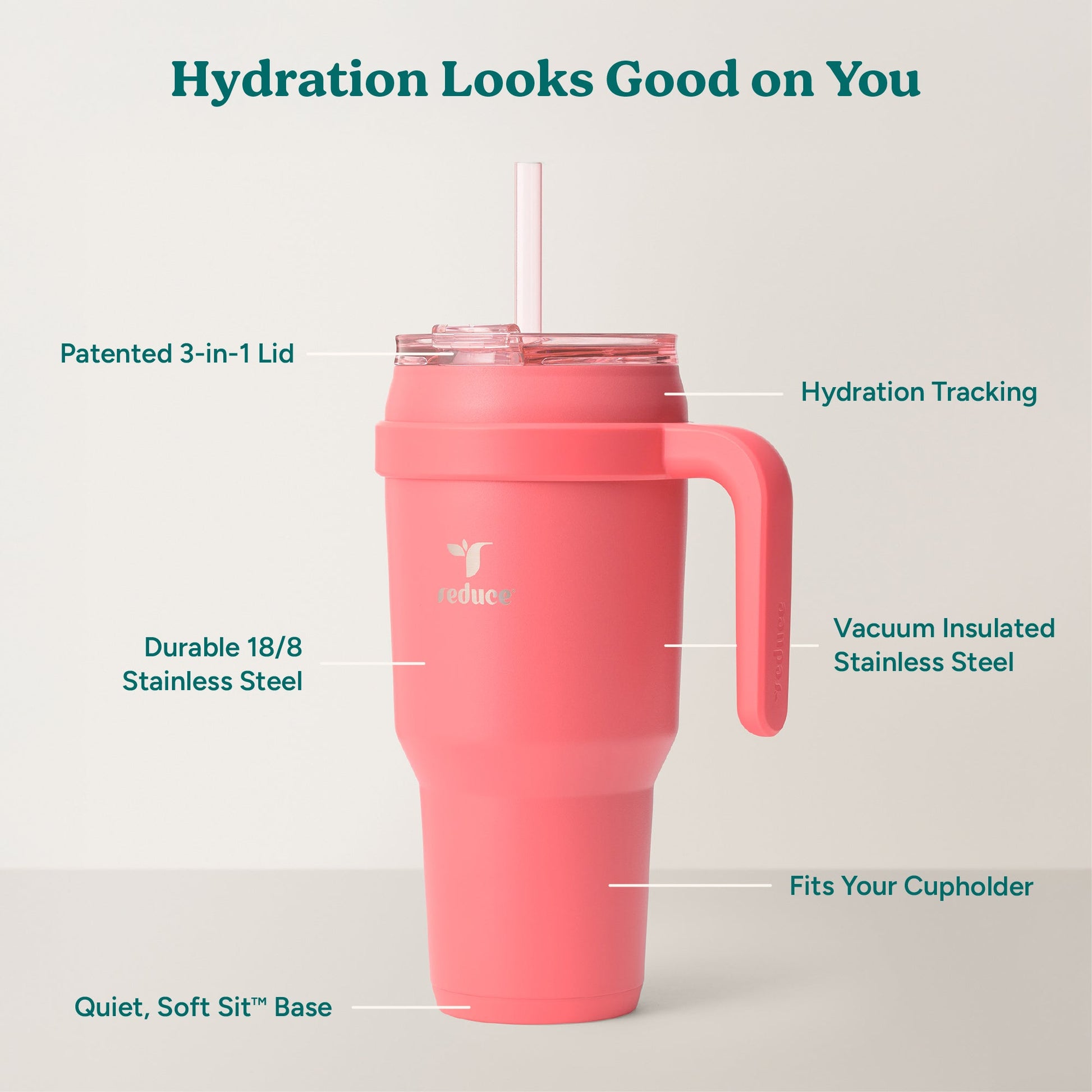cold1-40-oz-c3 Cold1_40oz_Daiquiri_Infographic_2.jpg