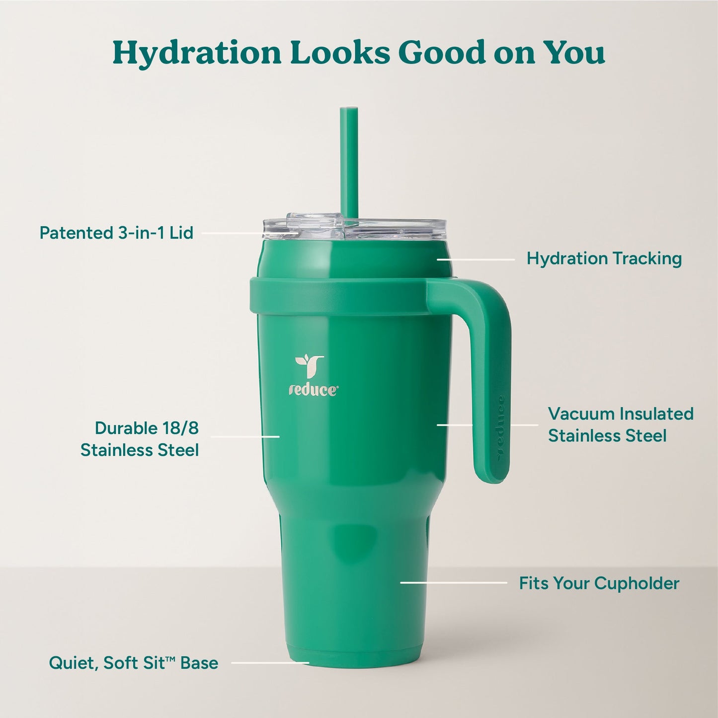 cold1-40-oz-c3 Cold1_40oz_PalmLeaf_Infographic_2.jpg
