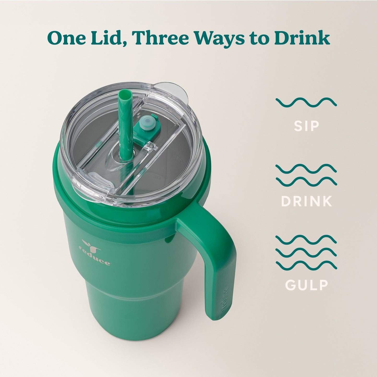 cold1-40-oz-c3 Cold1_40oz_PalmLeaf_Infographic_3.jpg