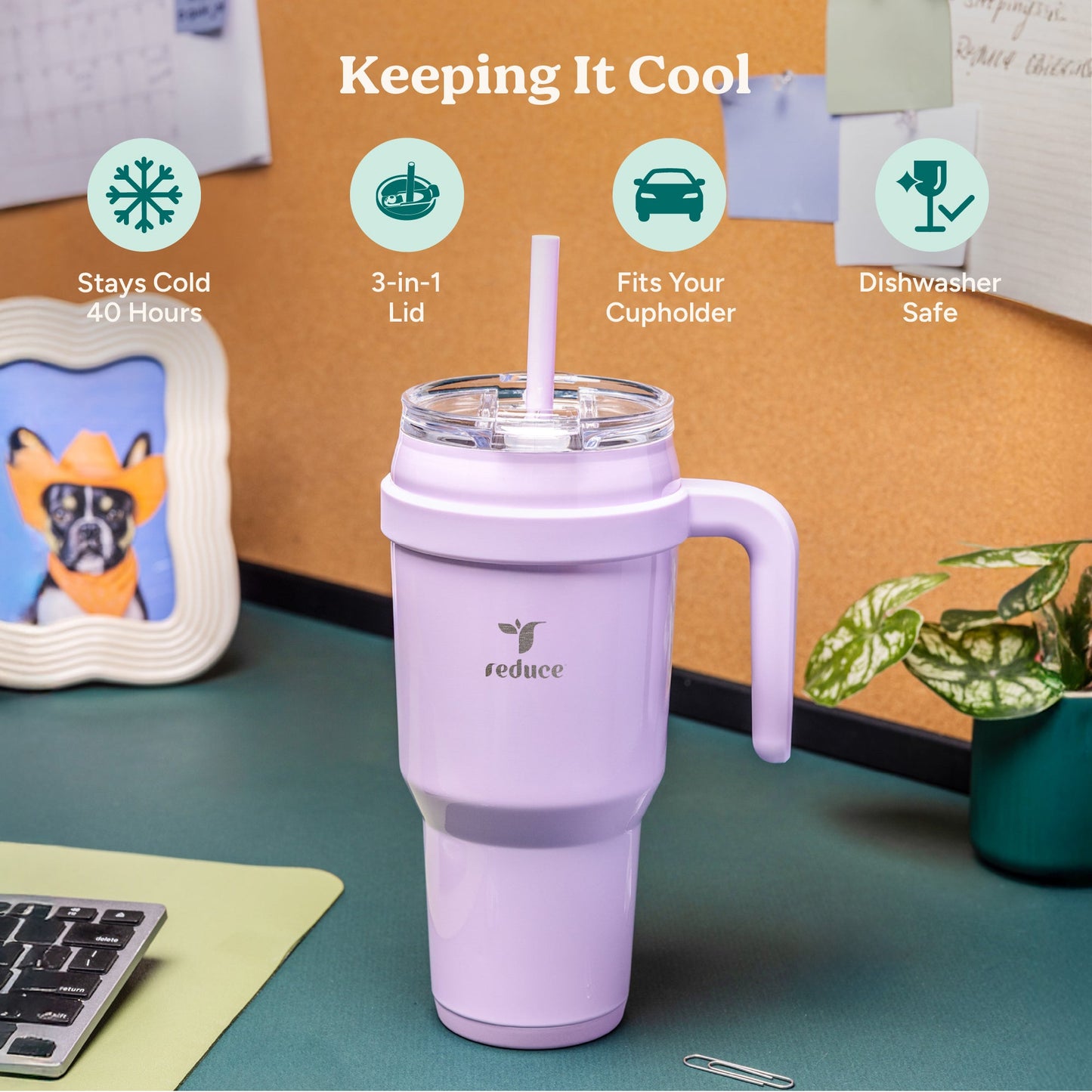 cold1-40-oz-c3 Cold1_40oz_Papaya_Infographic_1.jpg