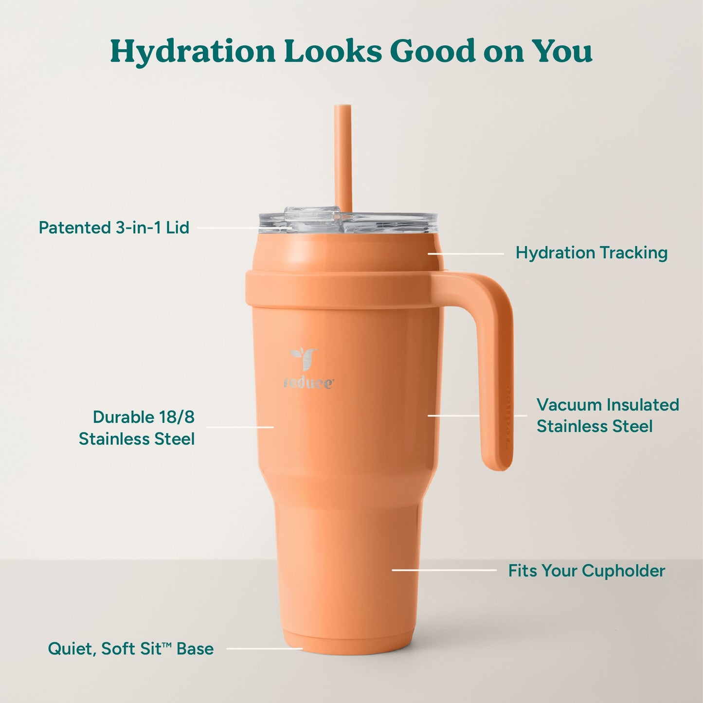 cold1-40-oz-c3 Cold1_40oz_Papaya_Infographic_2.jpg