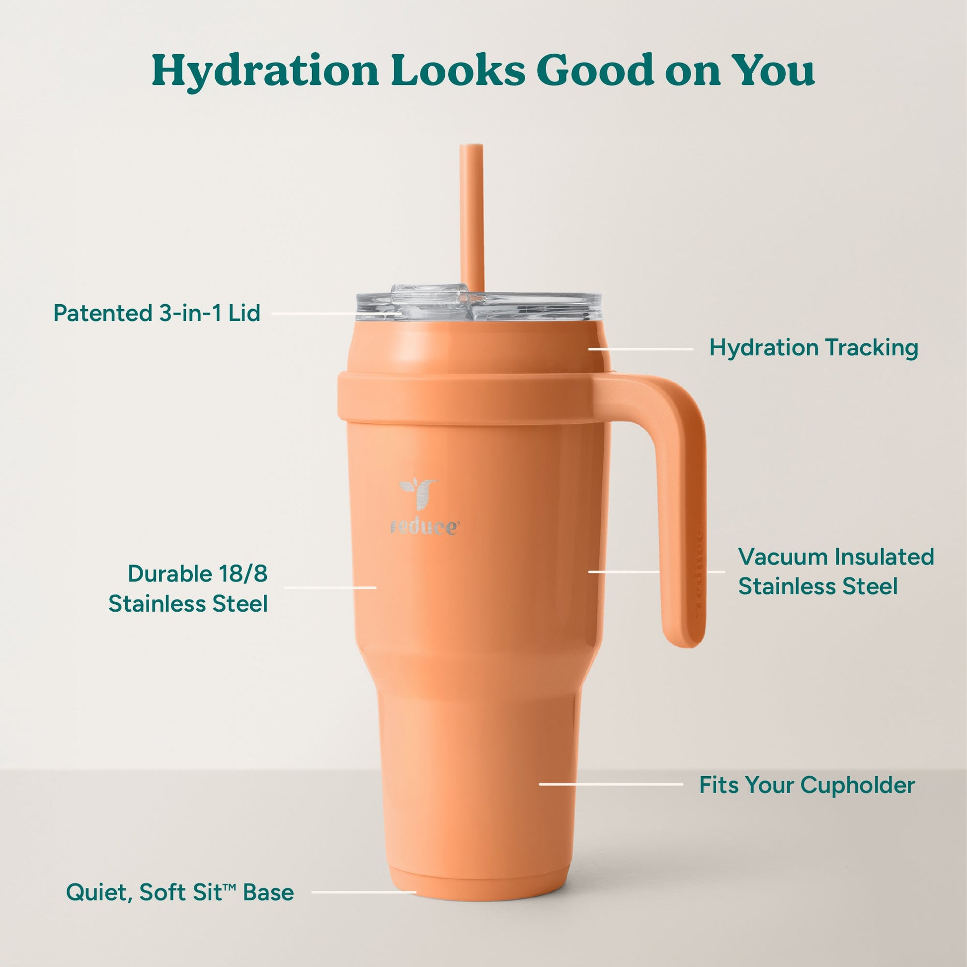 cold1-40-oz-c3 Cold1_40oz_Papaya_Infographic_2.jpg
