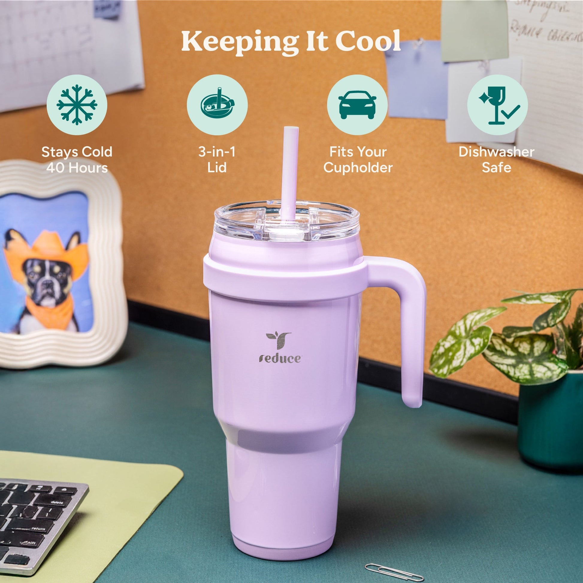 cold1-40-oz-c3 Cold1_40oz_PinaColada_Infographic_1.jpg