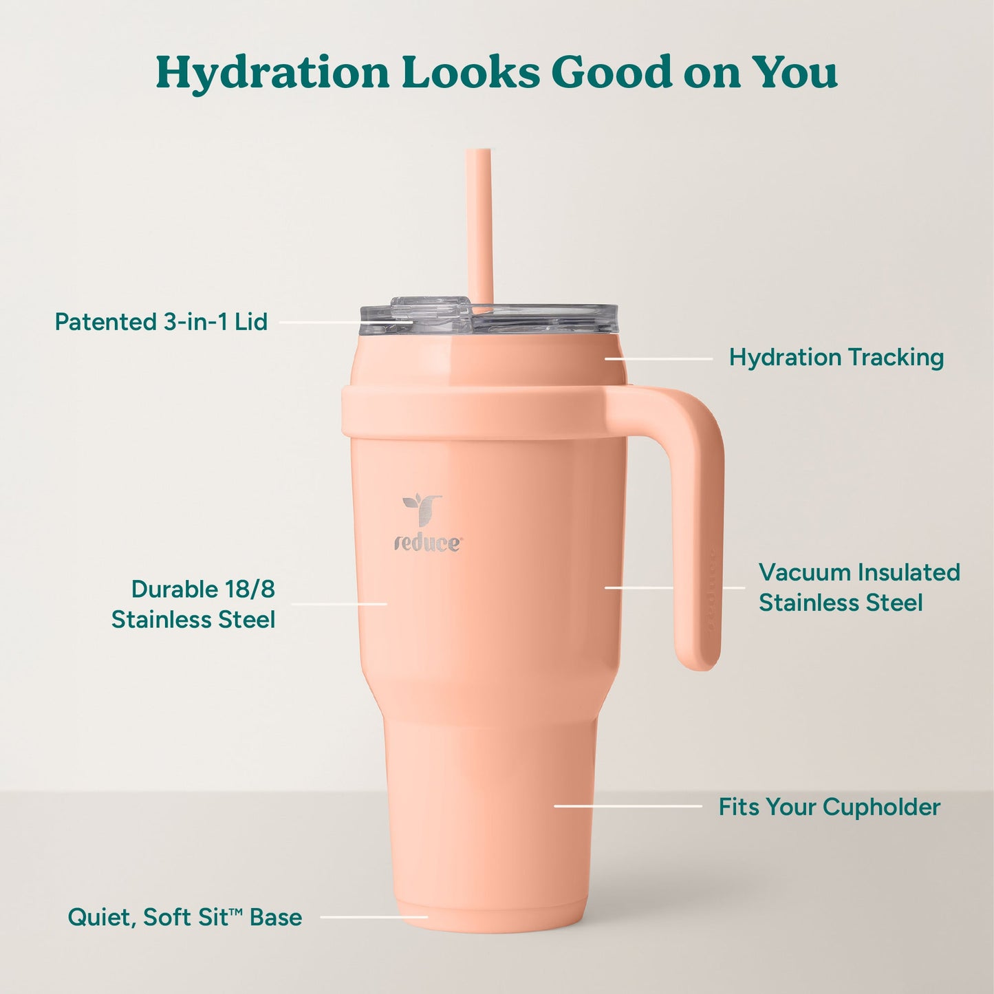 cold1-40-oz-c3 Cold1_40oz_Sedona_Infographic_2.jpg